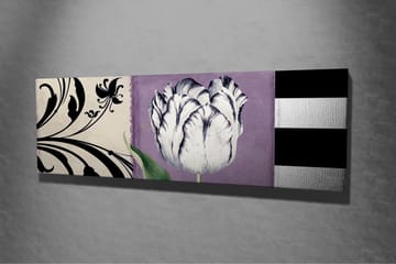 Lerretsbilde - Hvit tulipan mot lilla bakgrunn - Hvit / Lilla / Svart - Interiør - Maleri & posters - Lerretsbilder