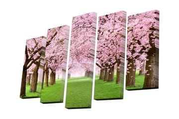 Lerretsbilde i 5 deler 82x50 cm - Vakker allé med kirsebærtrær i blomst - Rosa / Grønn / Brun - Interiør - Maleri & posters - Lerretsbilder