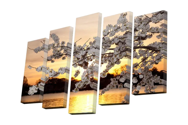 Lerretsbilde i 5 deler 82x50 cm - Vakker kirsebærblomst ved solnedgang - Hvit / Oransje / Gul - Interiør - Maleri & posters - Lerretsbilder