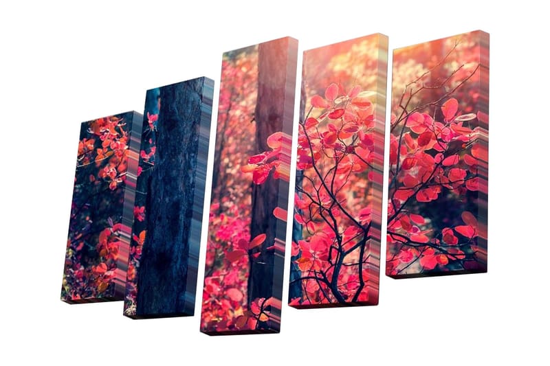 Lerretsbilde i 5 deler 82x50 cm - Vakkert høstlandskap med fargerike blader, Rød / Grønn / Brun