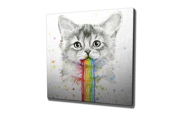 Lerretsbilde - Katt med regnbuefarget oppkast - Grå / Regnbue (rød / Oransje - Interiør - Maleri & posters - Lerretsbilder