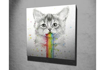 Lerretsbilde - Katt med regnbuefarget oppkast - Grå / Regnbue (rød / Oransje - Interiør - Maleri & posters - Lerretsbilder
