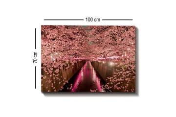 Lerretsbilde - Kirsebærblomster ved en kanal - Rosa / Grønn / Lilla - Interiør - Maleri & posters - Lerretsbilder