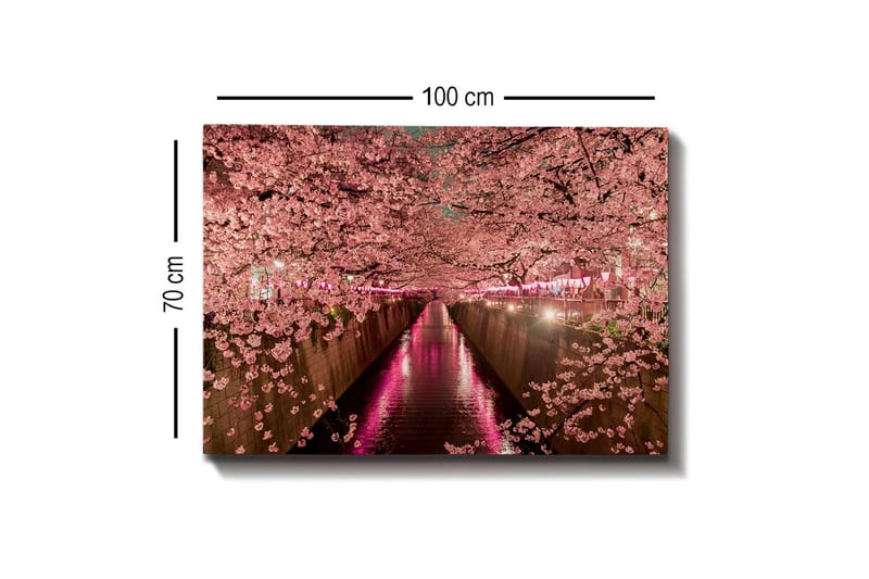 Lerretsbilde - Kirsebærblomster ved en kanal - Rosa / Grønn / Lilla - Interiør - Maleri & posters - Lerretsbilder