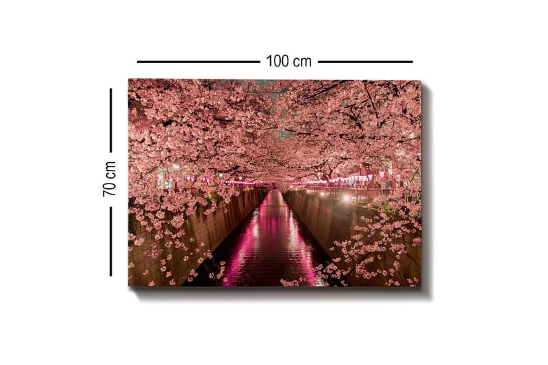 Lerretsbilde - Kirsebærblomster ved en kanal - Rosa / Grønn / Lilla - Interiør - Maleri & posters - Lerretsbilder