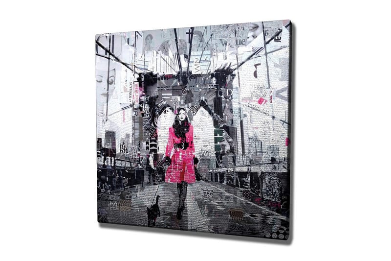 Lerretsbilde - Kvinne i rosa frakk går med en katt på en bro, Rosa / Svart / Grå
