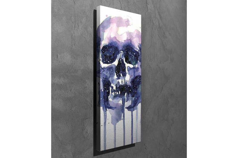 Lerretsbilde - Mørk og mystisk hodeskalle med stjernelignende detaljer - Lilla / Mørk blå / Hvit - Interiør - Maleri & posters - Lerretsbilder