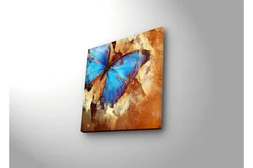 Lerretsbilde med LED-belysning 28x28 cm - Fargerik sommerfugl med blå vinger - Blå / Oransje / Beige - Interiør - Maleri & posters - Lerretsbilder