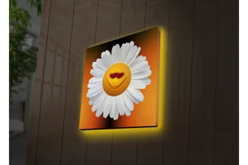 Lerretsbilde med LED-belysning 28x28 cm - Glad blomst med smilende ansikt og hjerteformede øyne - Hvit / Oransje / Gul - Interiør - Maleri & posters - Lerretsbilder