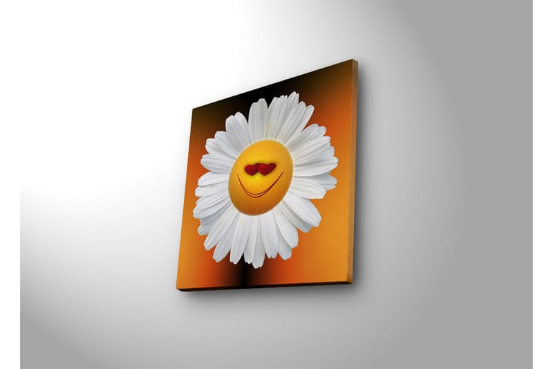 Lerretsbilde med LED-belysning 28x28 cm - Glad blomst med smilende ansikt og hjerteformede øyne - Hvit / Oransje / Gul - Interiør - Maleri & posters - Lerretsbilder