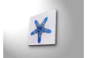 Lerretsbilde med LED-belysning 28x28 cm - Havstjerne i blå nyanser - Blå / Lys blå / Beige - Interiør - Maleri & posters - Lerretsbilder
