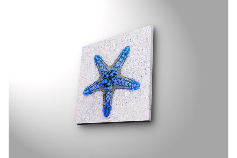 Lerretsbilde med LED-belysning 28x28 cm - Havstjerne i blå nyanser - Blå / Lys blå / Beige - Interiør - Maleri & posters - Lerretsbilder
