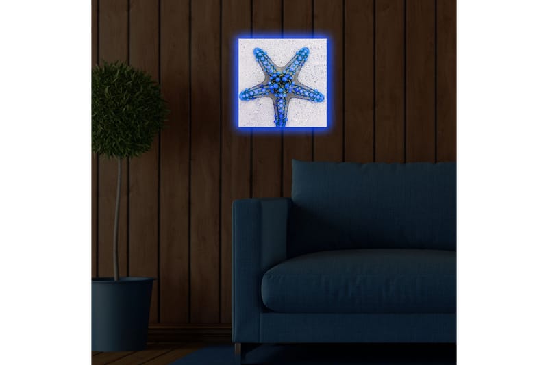 Lerretsbilde med LED-belysning 28x28 cm - Havstjerne i blå nyanser - Blå / Lys blå / Beige - Interiør - Maleri & posters - Lerretsbilder