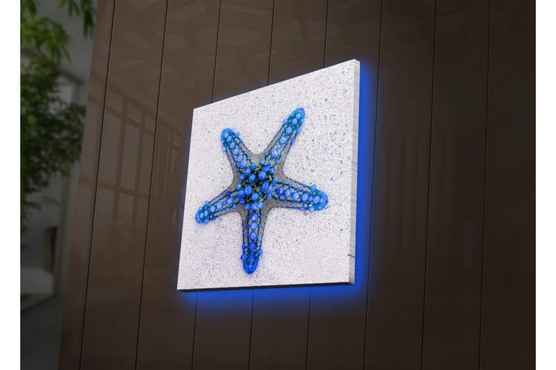 Lerretsbilde med LED-belysning 28x28 cm - Havstjerne i blå nyanser - Blå / Lys blå / Beige - Interiør - Maleri & posters - Lerretsbilder