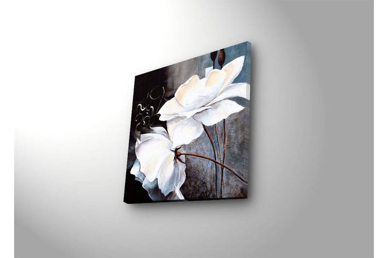 Lerretsbilde med LED-belysning 28x28 cm - Hvite blomster med elegante detaljer - Hvit / Grå / Brun - Interiør - Maleri & posters - Lerretsbilder