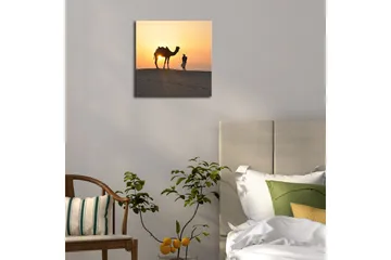 Lerretsbilde med LED-belysning 28x28 cm - Kamel og mann ved solnedgang på sanddyner - Oransje / Gul / Svart - Interiør - Maleri & posters - Lerretsbilder