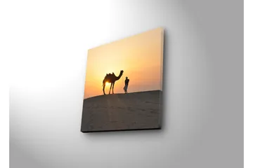 Lerretsbilde med LED-belysning 28x28 cm - Kamel og mann ved solnedgang på sanddyner - Oransje / Gul / Svart - Interiør - Maleri & posters - Lerretsbilder