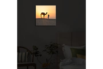 Lerretsbilde med LED-belysning 28x28 cm - Kamel og mann ved solnedgang på sanddyner - Oransje / Gul / Svart - Interiør - Maleri & posters - Lerretsbilder