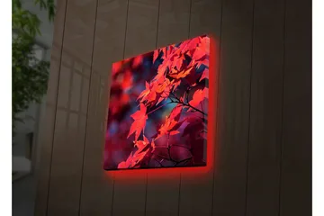 Lerretsbilde med LED-belysning 28x28 cm - Klart rødt lønneblad i høstfarger - Rød / Oransje / Mørk blå - Interiør - Maleri & posters - Lerretsbilder