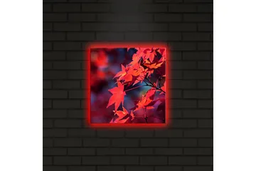 Lerretsbilde med LED-belysning 28x28 cm - Klart rødt lønneblad i høstfarger - Rød / Oransje / Mørk blå - Interiør - Maleri & posters - Lerretsbilder
