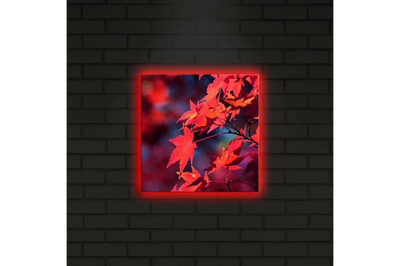 Lerretsbilde med LED-belysning 28x28 cm - Klart rødt lønneblad i høstfarger - Rød / Oransje / Mørk blå - Interiør - Maleri & posters - Lerretsbilder