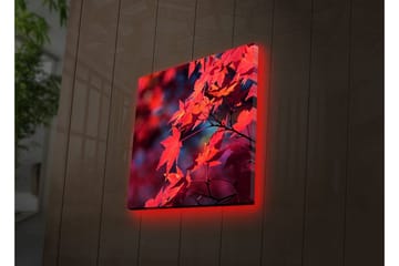 Lerretsbilde med LED-belysning 28x28 cm - Klart rødt lønneblad i høstfarger - Rød / Oransje / Mørk blå - Interiør - Maleri & posters - Lerretsbilder