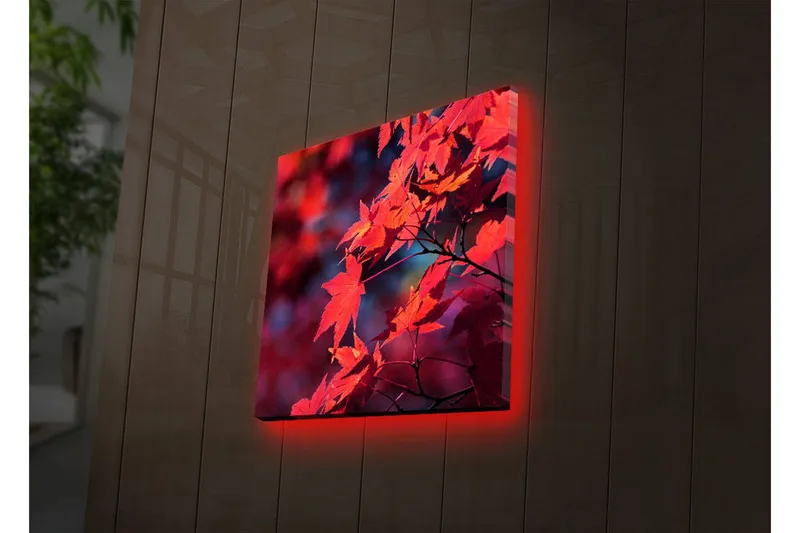 Lerretsbilde med LED-belysning 28x28 cm - Klart rødt lønneblad i høstfarger - Rød / Oransje / Mørk blå - Interiør - Maleri & posters - Lerretsbilder