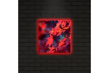 Lerretsbilde med LED-belysning 28x28 cm - Klart rødt lønneblad i høstfarger - Rød / Oransje / Mørk blå - Interiør - Maleri & posters - Lerretsbilder