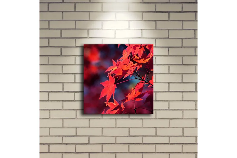 Lerretsbilde med LED-belysning 28x28 cm - Klart rødt lønneblad i høstfarger - Rød / Oransje / Mørk blå - Interiør - Maleri & posters - Lerretsbilder