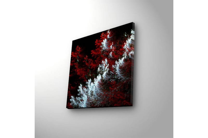 Lerretsbilde med LED-belysning 28x28 cm - Lys og mørk skog med røde og hvite elementer - Rød / Hvit - Interiør - Maleri & posters - Lerretsbilder