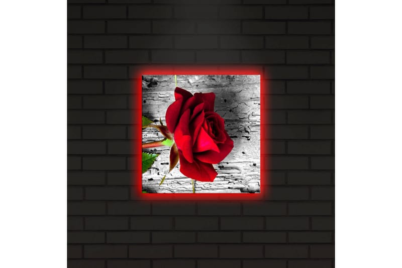 Lerretsbilde med LED-belysning 28x28 cm - Rød rose mot en grå trebakgrunn - Rød / Grå / Grønn - Interiør - Maleri & posters - Lerretsbilder