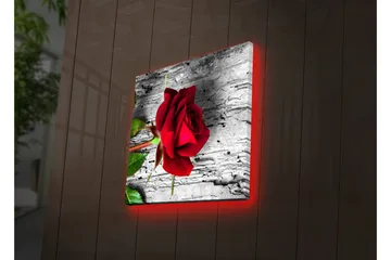 Lerretsbilde med LED-belysning 28x28 cm - Rød rose mot en grå trebakgrunn - Rød / Grå / Grønn - Interiør - Maleri & posters - Lerretsbilder