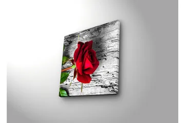 Lerretsbilde med LED-belysning 28x28 cm - Rød rose mot en grå trebakgrunn - Rød / Grå / Grønn - Interiør - Maleri & posters - Lerretsbilder