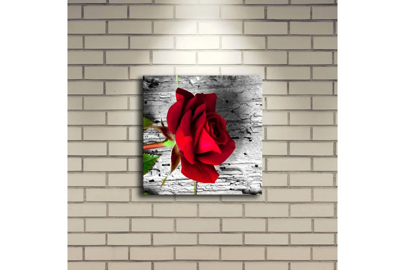 Lerretsbilde med LED-belysning 28x28 cm - Rød rose mot en grå trebakgrunn - Rød / Grå / Grønn - Interiør - Maleri & posters - Lerretsbilder
