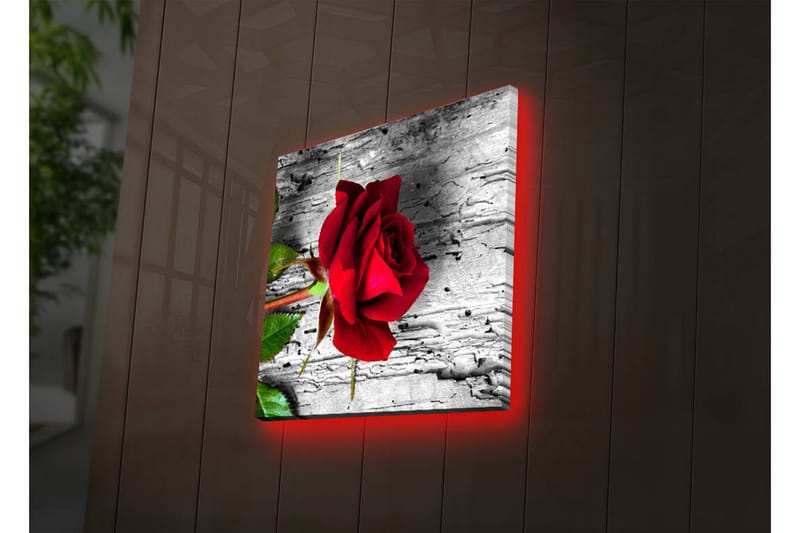 Lerretsbilde med LED-belysning 28x28 cm - Rød rose mot en grå trebakgrunn - Rød / Grå / Grønn - Interiør - Maleri & posters - Lerretsbilder