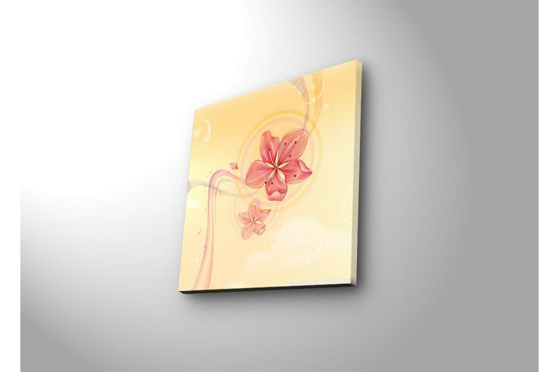 Lerretsbilde med LED-belysning 28x28 cm - Rosa blomster i en myk og lys komposisjon - Rosa / Gul / Beige - Interiør - Maleri & posters - Lerretsbilder