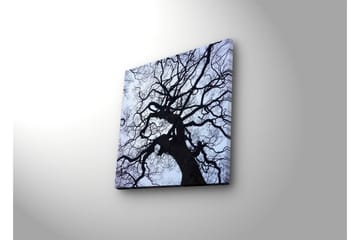 Lerretsbilde med LED-belysning 28x28 cm - Silhuett av et tre mot en lys bakgrunn - Svart / Blå / Hvit - Interiør - Maleri & posters - Lerretsbilder