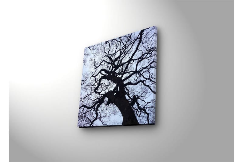Lerretsbilde med LED-belysning 28x28 cm - Silhuett av et tre mot en lys bakgrunn - Svart / Blå / Hvit - Interiør - Maleri & posters - Lerretsbilder