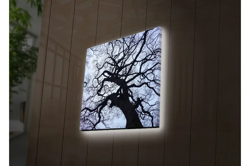 Lerretsbilde med LED-belysning 28x28 cm - Silhuett av et tre mot en lys bakgrunn - Svart / Blå / Hvit - Interiør - Maleri & posters - Lerretsbilder