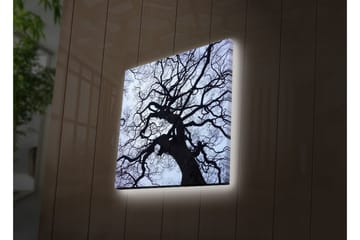 Lerretsbilde med LED-belysning 28x28 cm - Silhuett av et tre mot en lys bakgrunn - Svart / Blå / Hvit - Interiør - Maleri & posters - Lerretsbilder