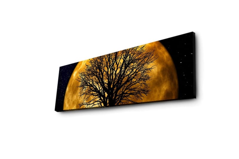 Lerretsbilde med LED-belysning 30x90 cm - Atmosfærisk motiv av en måne bak en silhuett av et tre - Gull / Svart - Interiør - Maleri & posters - Lerretsbilder