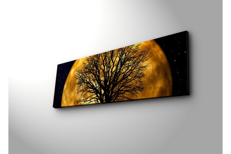 Lerretsbilde med LED-belysning 30x90 cm - Atmosfærisk motiv av en måne bak en silhuett av et tre - Gull / Svart - Interiør - Maleri & posters - Lerretsbilder