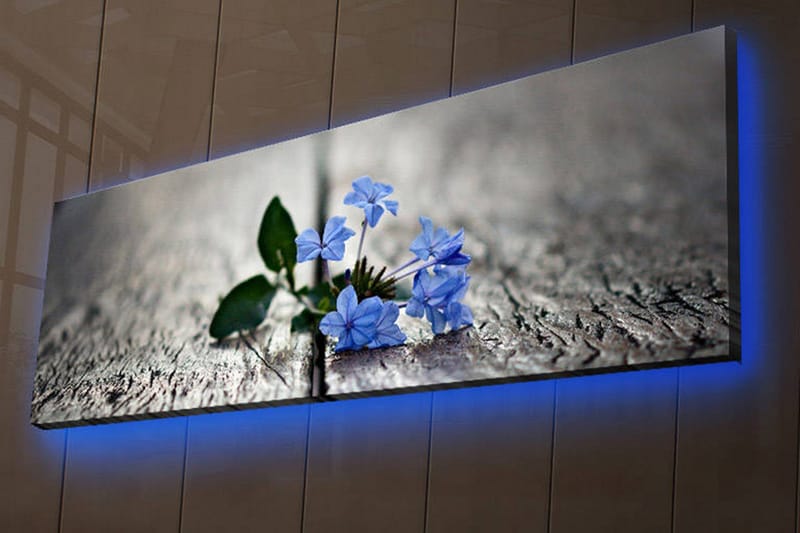 Lerretsbilde med LED-belysning 30x90 cm - Blomster som vokser mellom sprekker i en treflate - Blå / Grønn / Grå - Interiør - Maleri & posters - Lerretsbilder