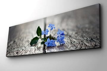 Lerretsbilde med LED-belysning 30x90 cm - Blomster som vokser mellom sprekker i en treflate - Blå / Grønn / Grå - Interiør - Maleri & posters - Lerretsbilder