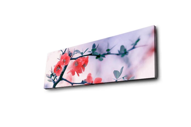Lerretsbilde med LED-belysning 30x90 cm - Blomstrende kvist med rosa blomster - Rosa / Grønn / Hvit - Interiør - Maleri & posters - Lerretsbilder