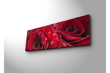 Lerretsbilde med LED-belysning 30x90 cm - Dyprøde roser med vanndråper - Rød / Grønn - Interiør - Maleri & posters - Lerretsbilder