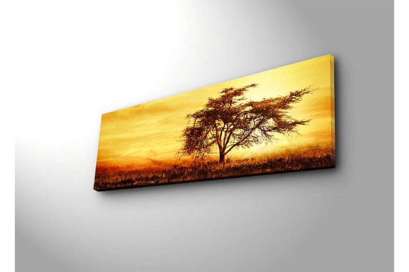 Lerretsbilde med LED-belysning 30x90 cm - Ensomt akasietre mot en gyllen solnedgang - Gull / Brun / Oransje - Interiør - Maleri & posters - Lerretsbilder