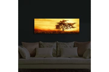Lerretsbilde med LED-belysning 30x90 cm - Ensomt akasietre mot en gyllen solnedgang - Gull / Brun / Oransje - Interiør - Maleri & posters - Lerretsbilder