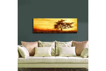 Lerretsbilde med LED-belysning 30x90 cm - Ensomt akasietre mot en gyllen solnedgang - Gull / Brun / Oransje - Interiør - Maleri & posters - Lerretsbilder