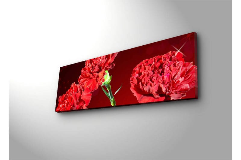 Lerretsbilde med LED-belysning 30x90 cm - Fargerik bukett med nelliker - Rød / Grønn - Interiør - Maleri & posters - Lerretsbilder